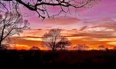 Febuary sunset over Bonfire field - C LB