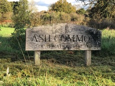 Sign on the common